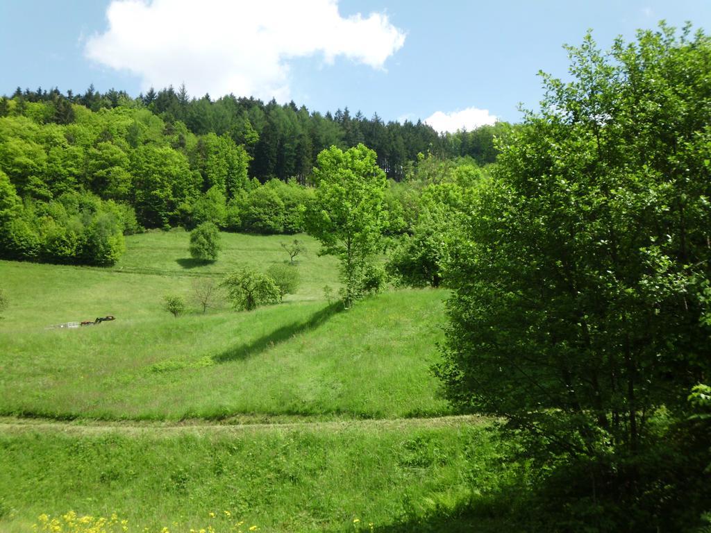 Finken, Gaestezimmer An Der Rench Гостевой дом 3*